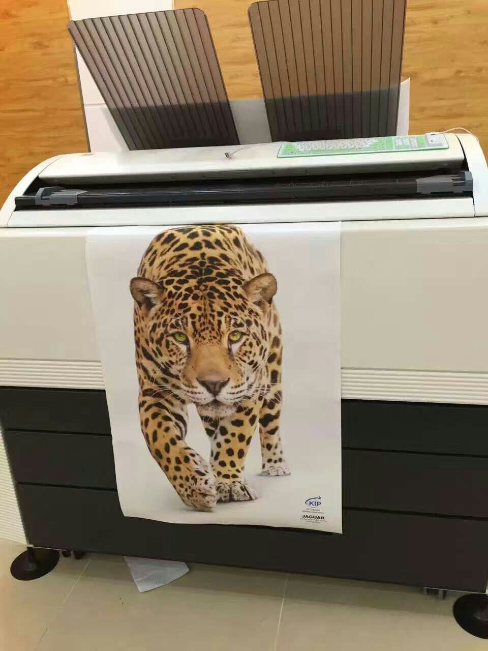 彩色激光打印机型号：KIP860